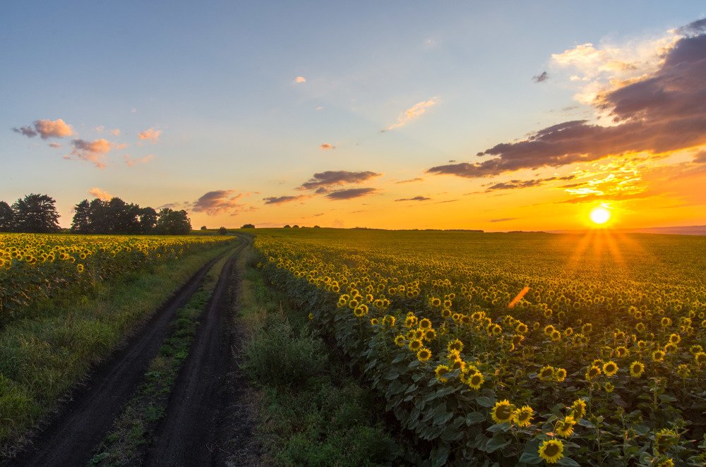 Дорога в красоту