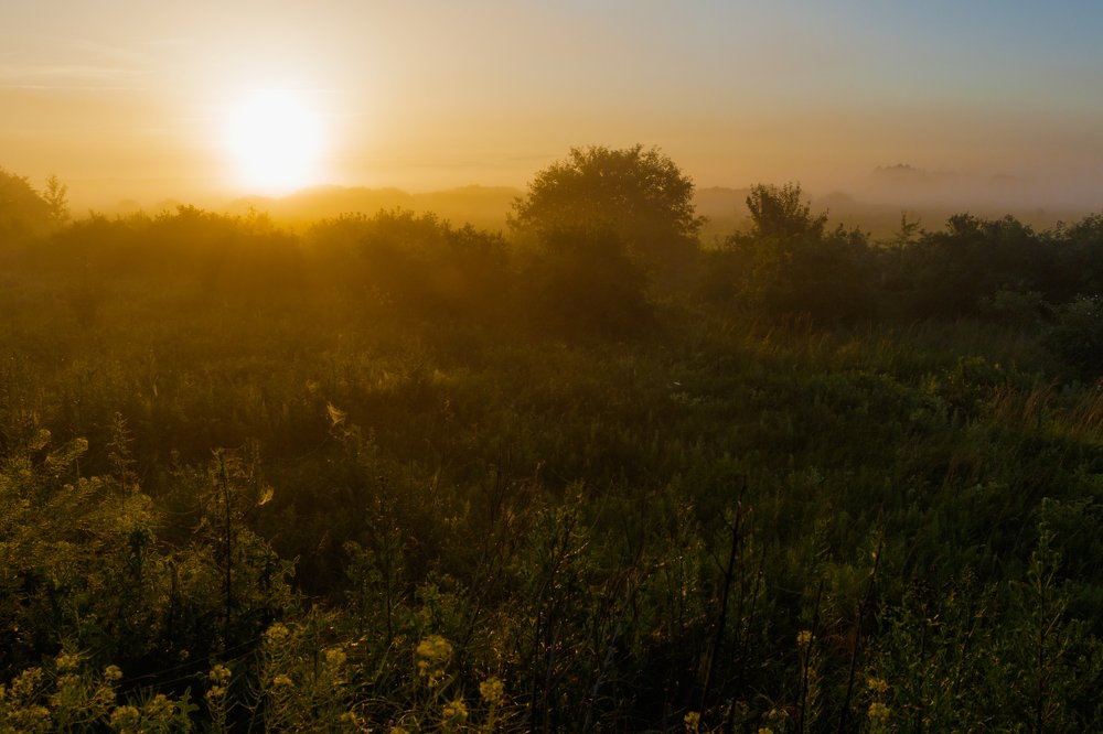 Фотография автора Андрей Серый