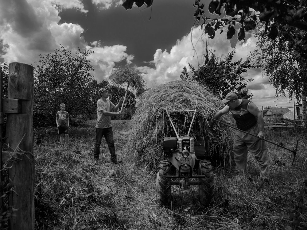 Август Уборка сена