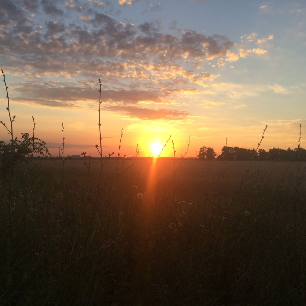 Photograph by Полина Синельникова