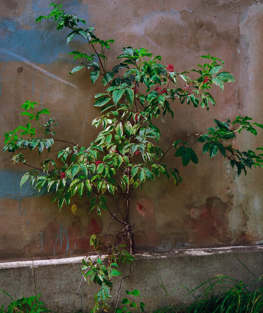 Photograph by Андрей Катков