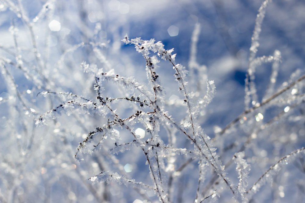 Хрусталики