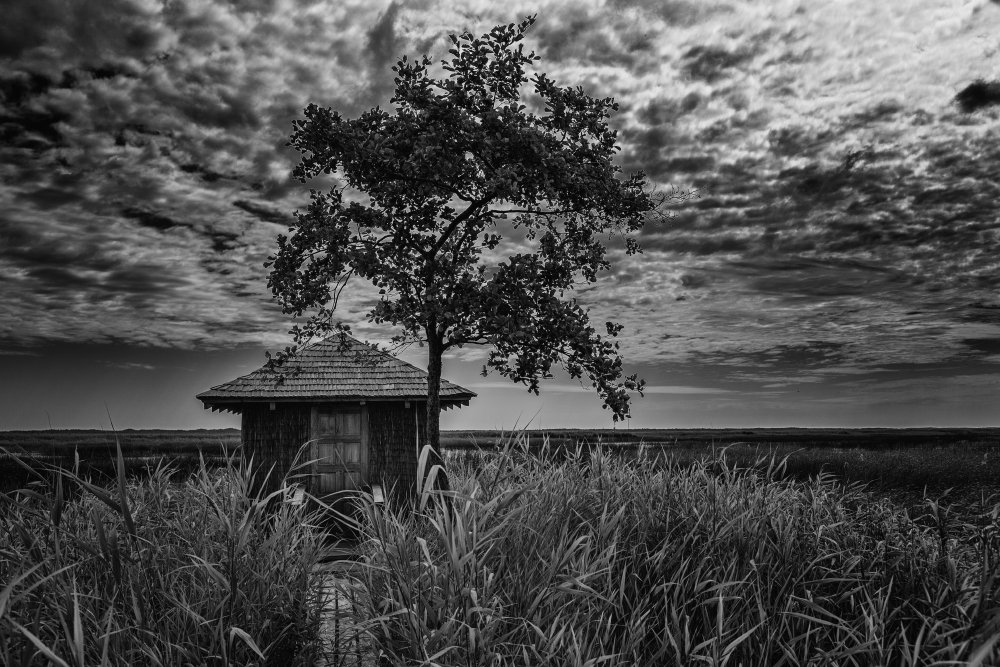A cabin in the middle of the lake