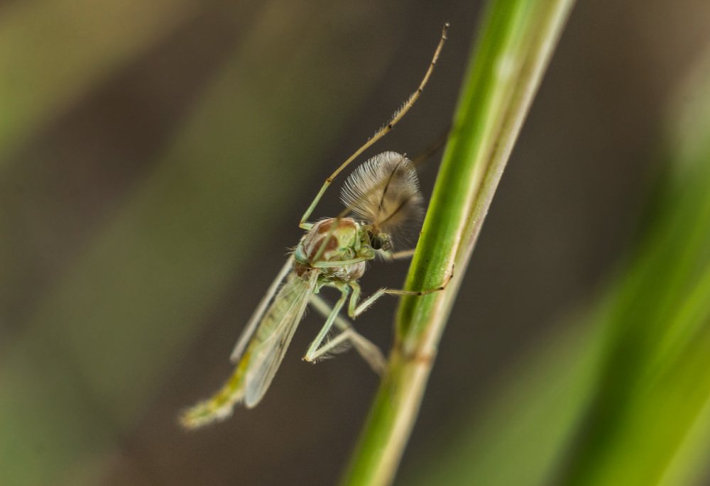 Photograph by Анастасия Зыкова