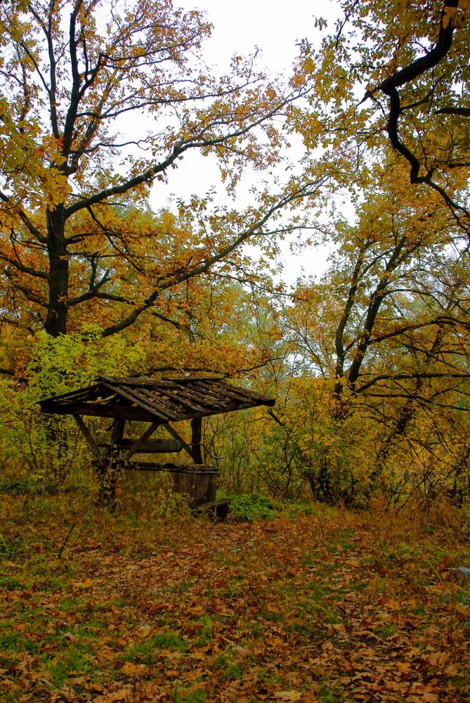 Заброшенный колодец