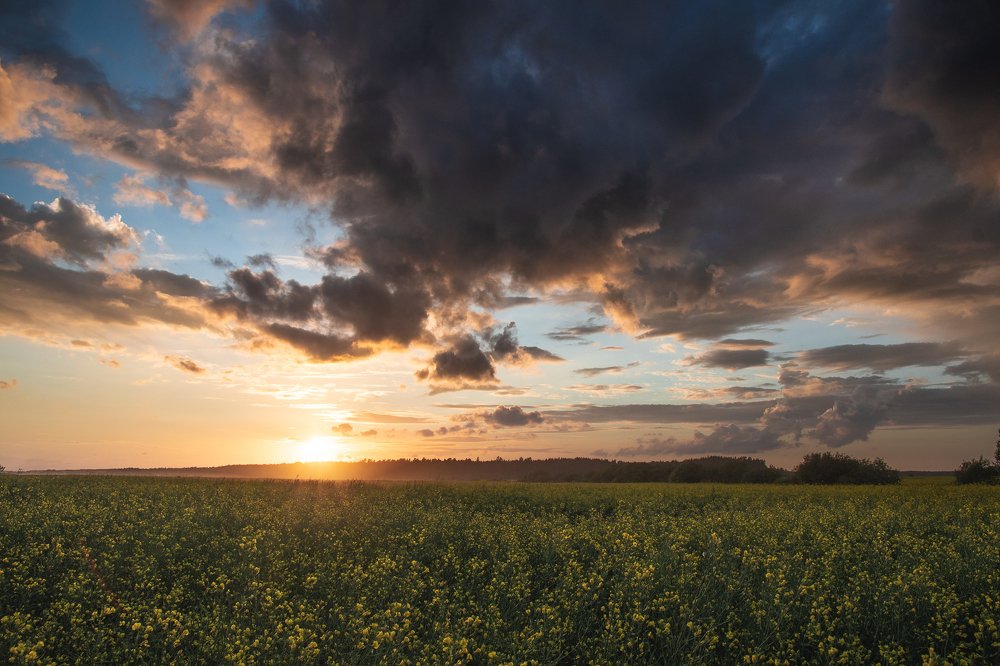 Июльский закат