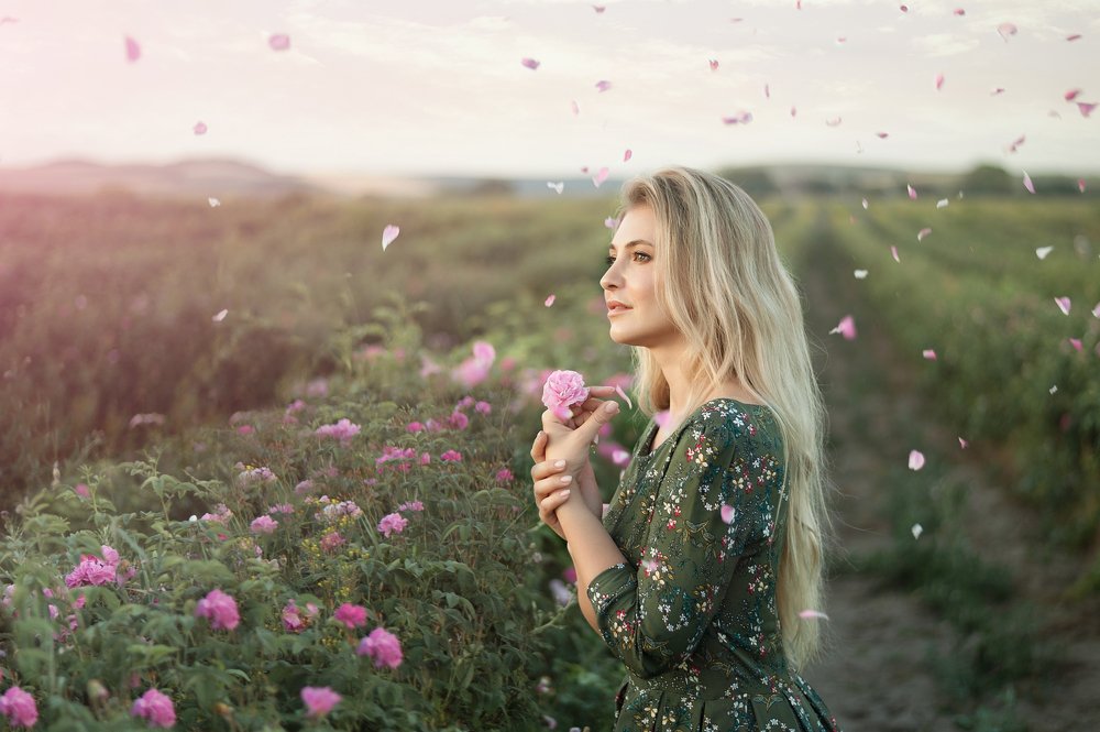 Розовая нежность