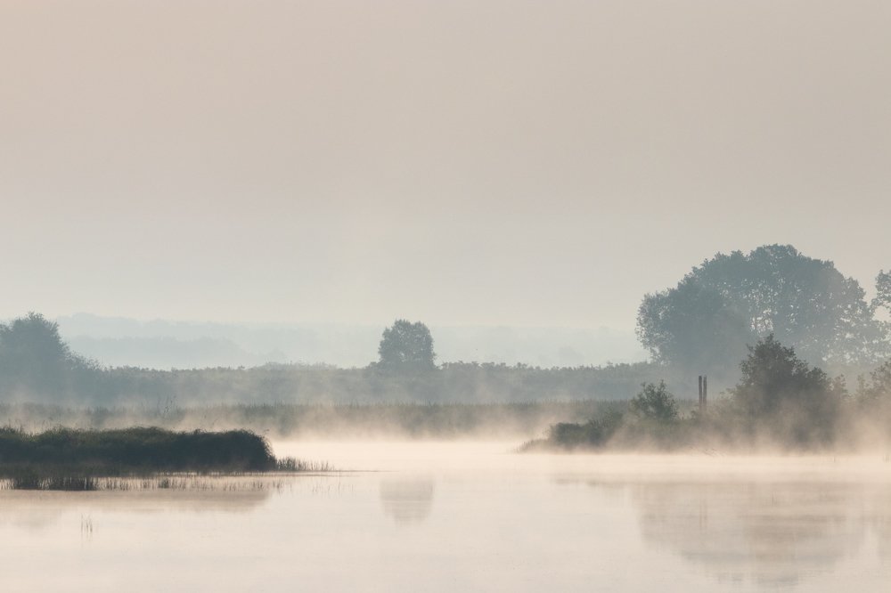 Photograph by Георгий Ковалев