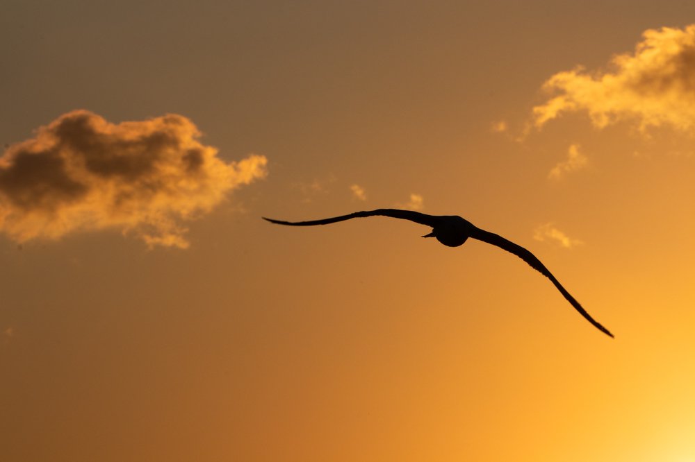 Photograph by Георгий Ковалев