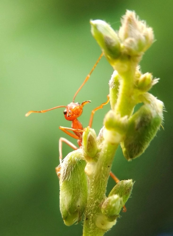 Photograph by Ayie Andri Nur