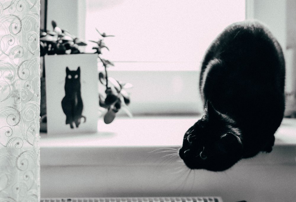 Photograph by Виктория Белоусова