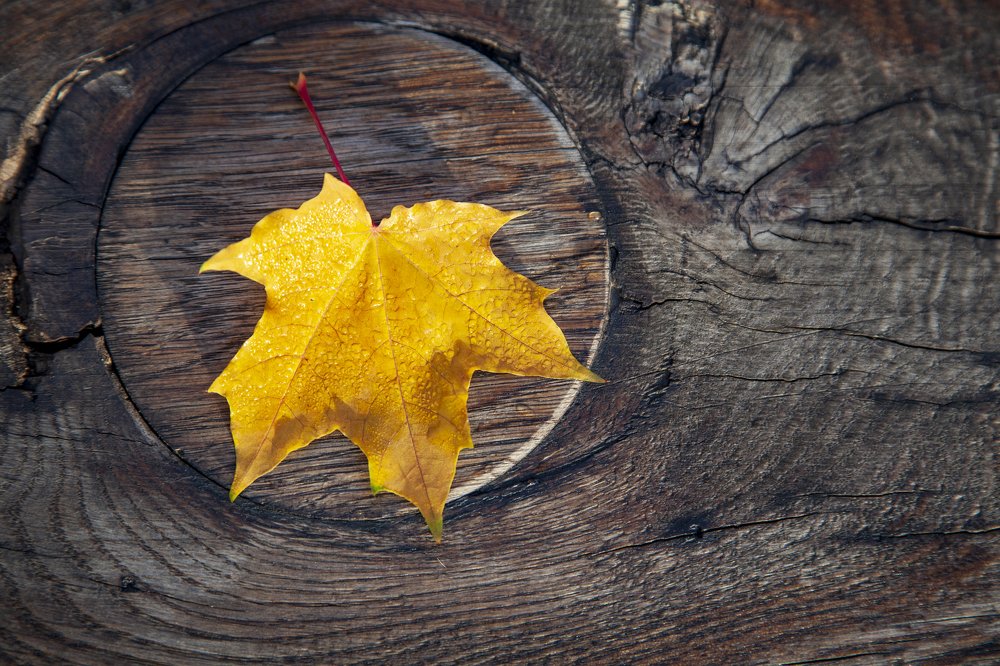 замкнутый круг