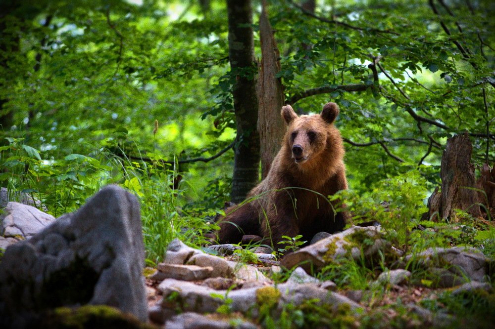 Наблюдательность