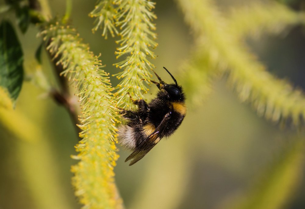 Photograph by Анастасия Зыкова