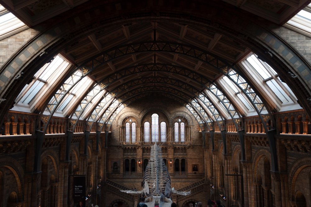 Museum view
