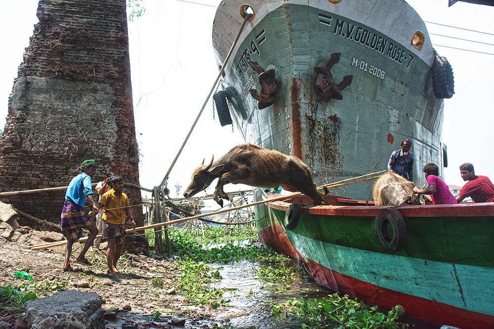 Photograph by Mohammad Nazrul Islam