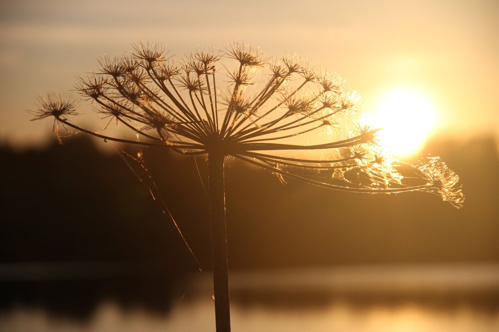 Предзакатное