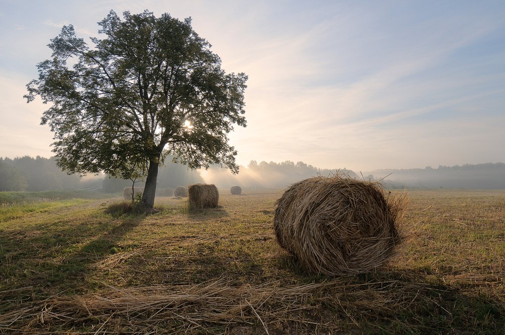 Без названия