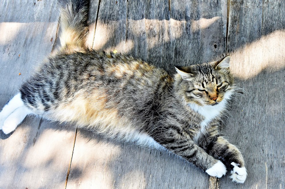 Photograph by Alexey Smal