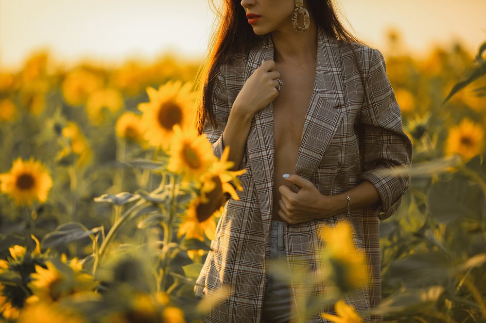 жаркие подсолнухи