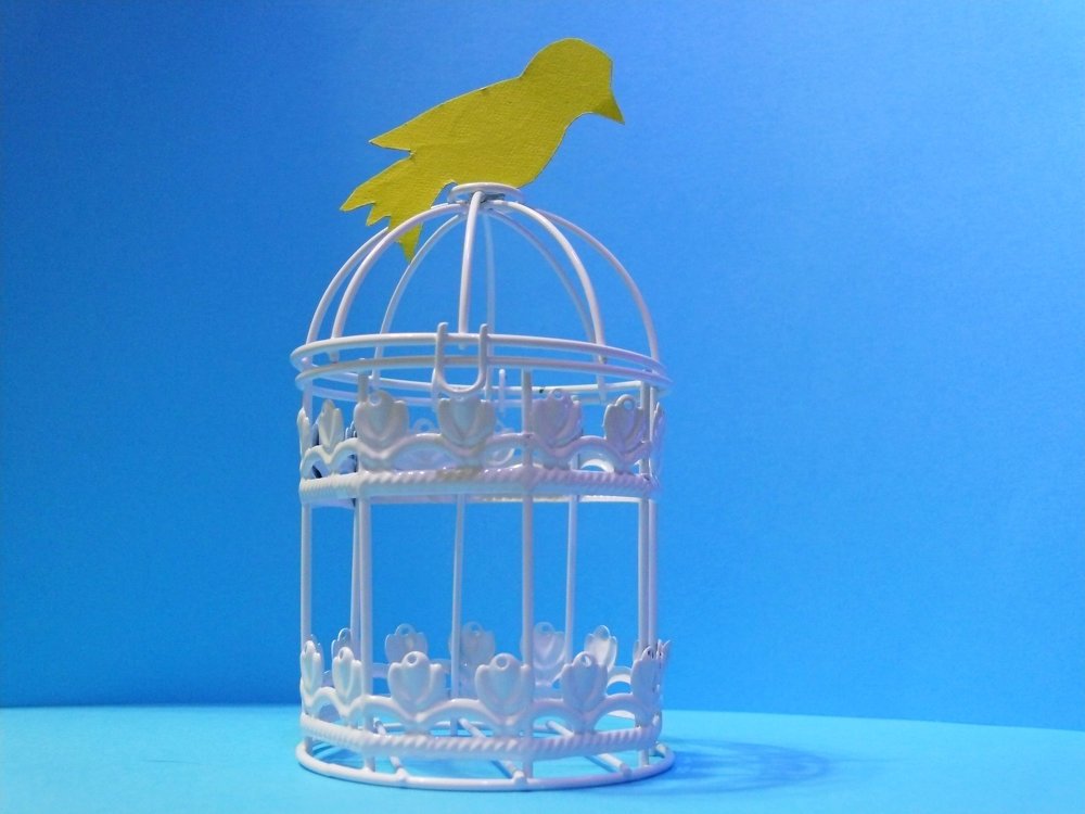 Голубая свобода, цветных идей.