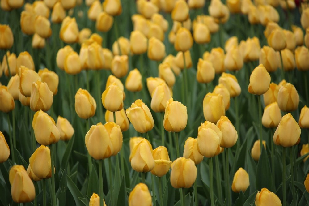 Photograph by Виталий