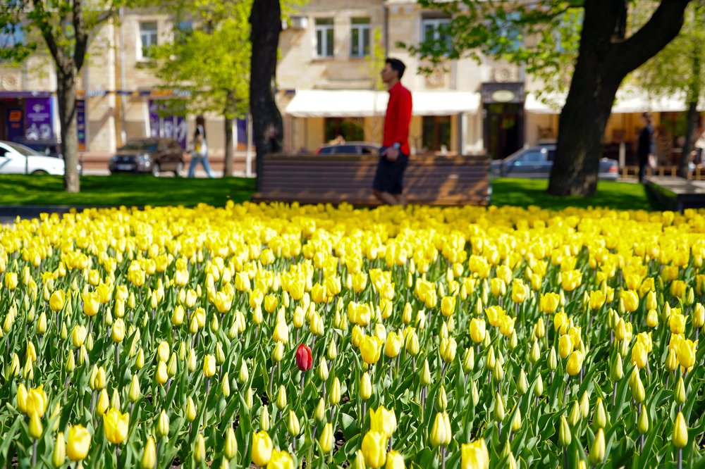 "Какого цвета одиночество?"