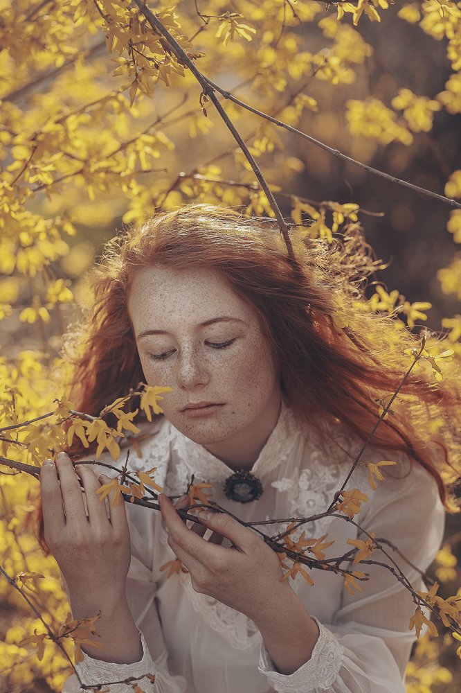 Photograph by 