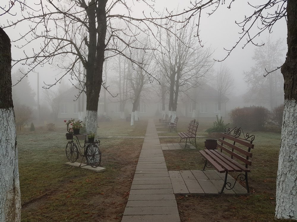 Туманная осень