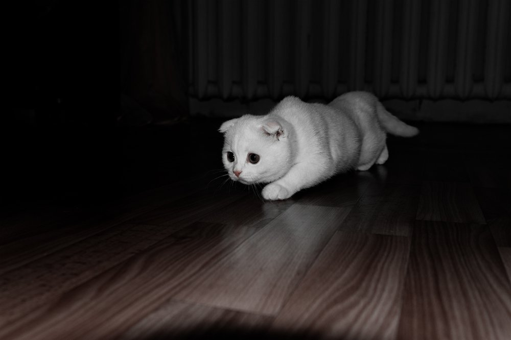 Инстинкт охотника.