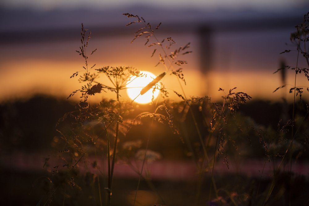 Валдайский национальный природный парк