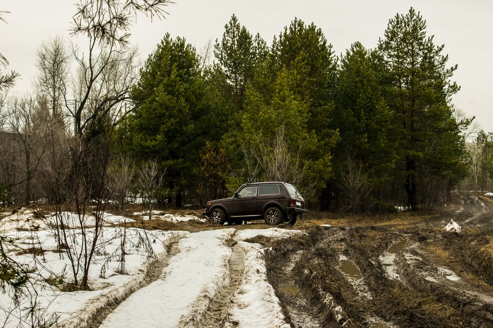 Photograph by Никита Касаткин