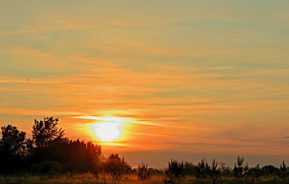 Photograph by Алексей Епишин