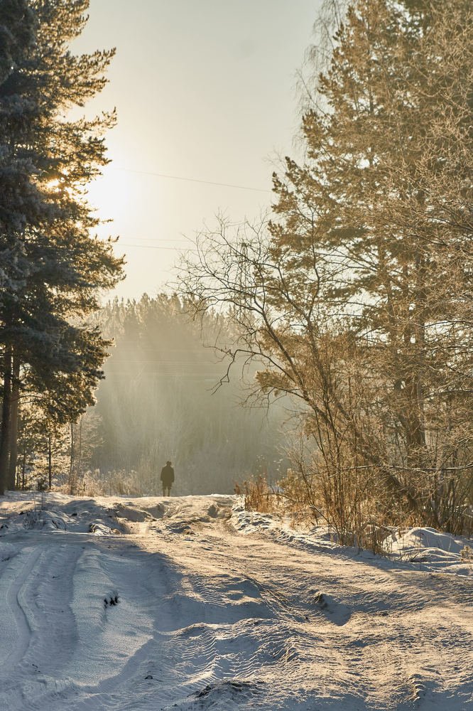 Одиночество