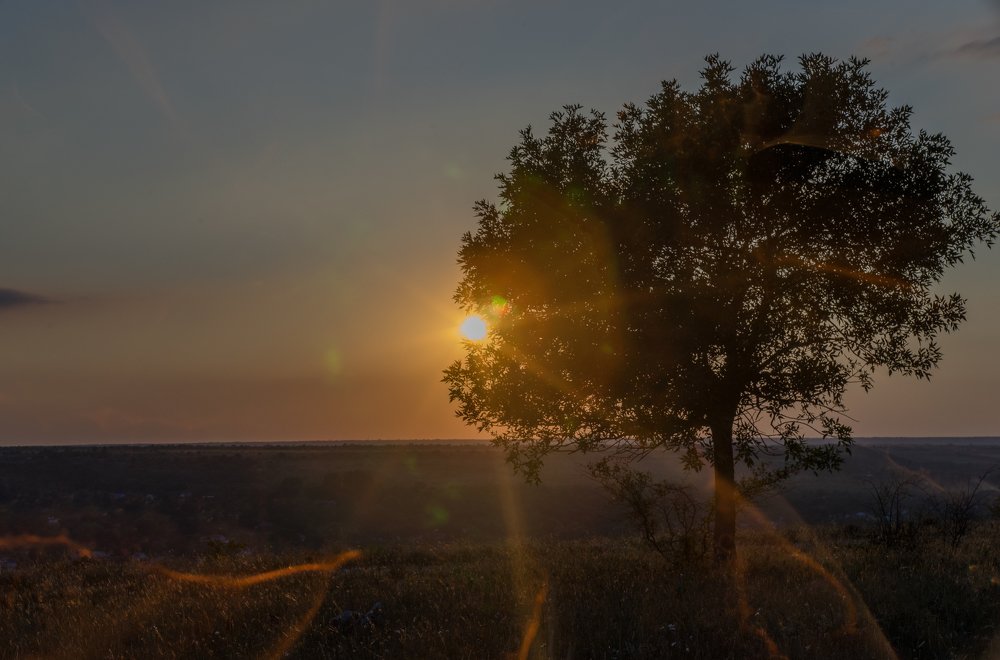 Лучи солнца в объективе