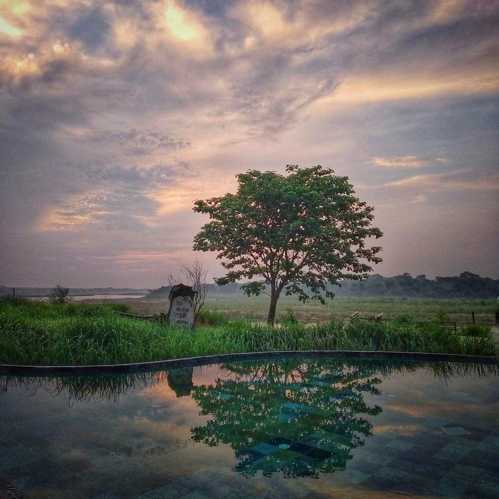 Home away from home..