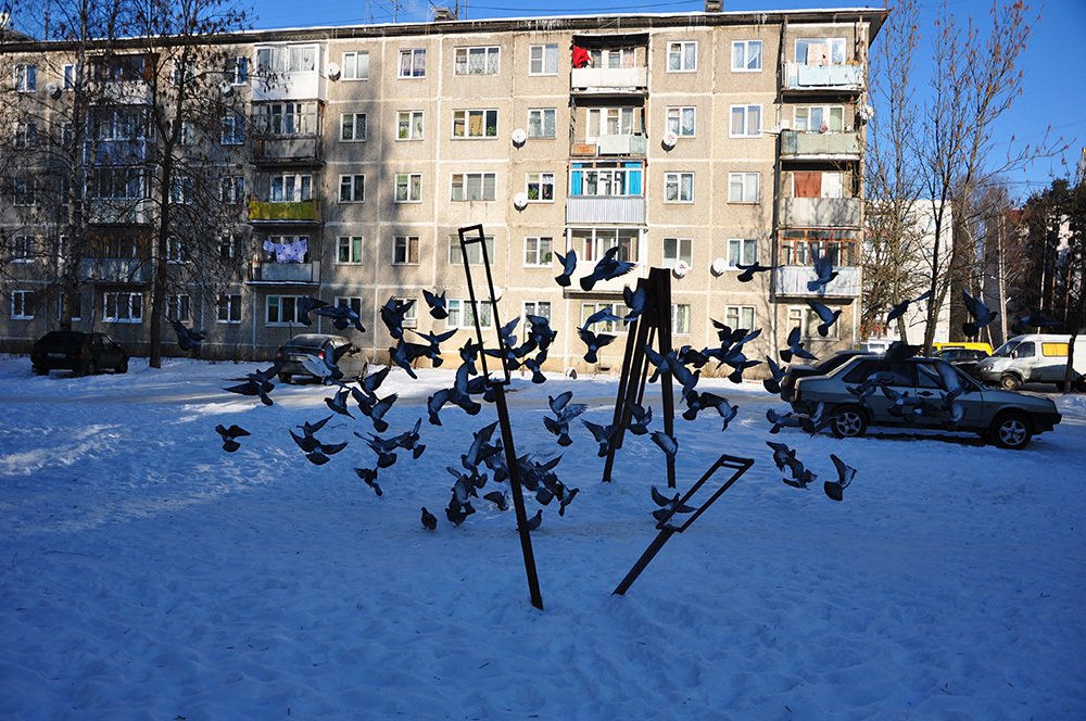 голуби