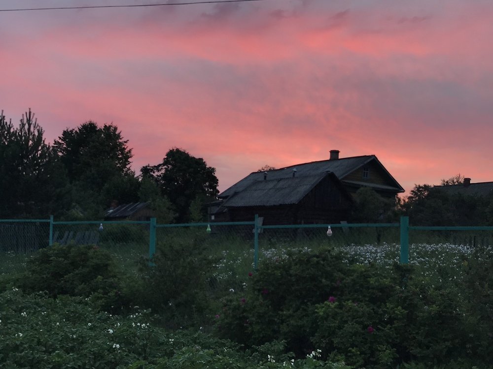 Доброе розовое утро в деревне