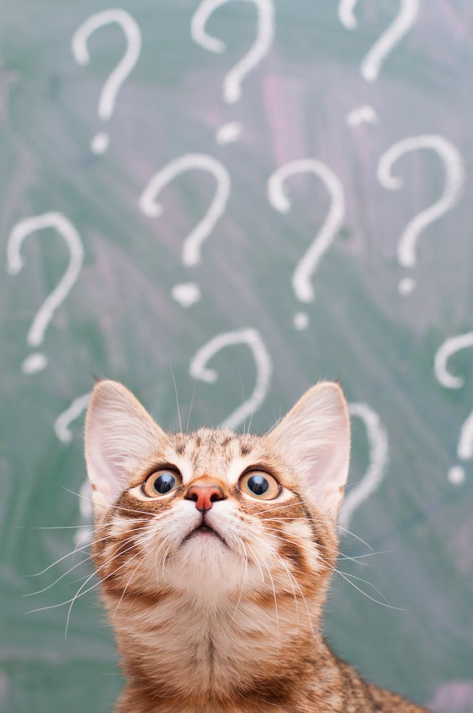 полосатая задачка