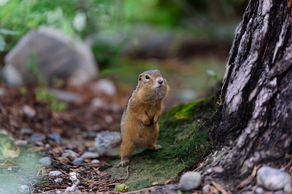 Photograph by Михаил Рогачев