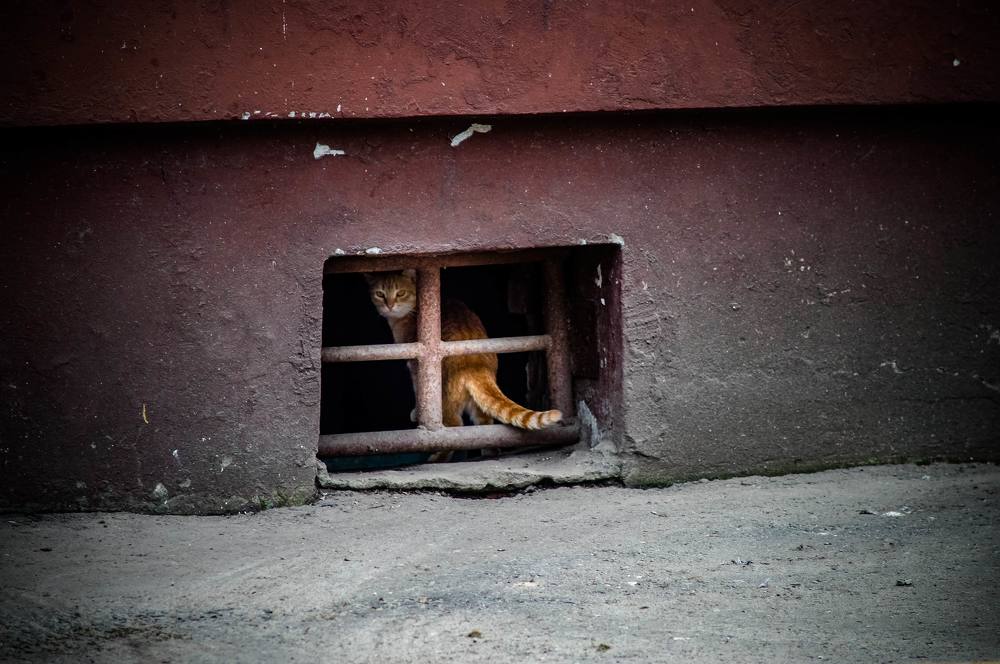 Photograph by Сергей Забиякин