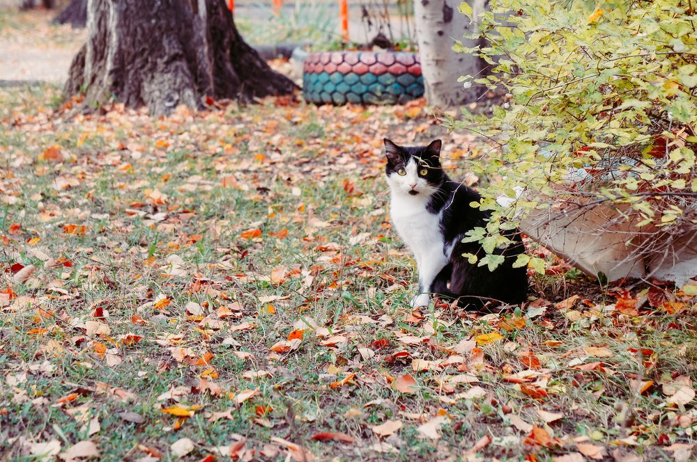 Photograph by Сергей Забиякин