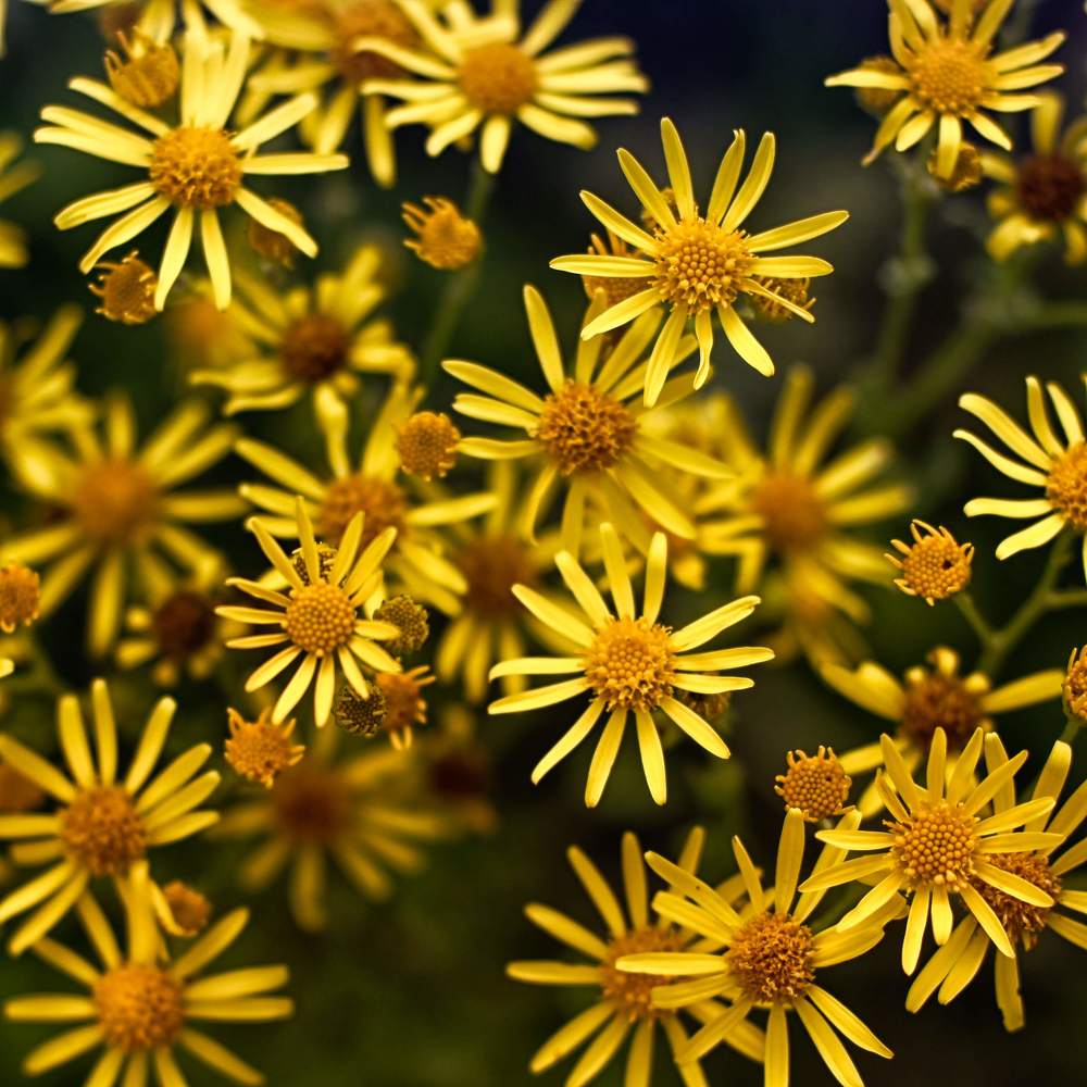 Photograph by Сергей Забиякин