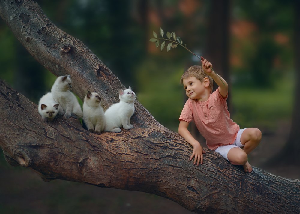 Первое знакомство