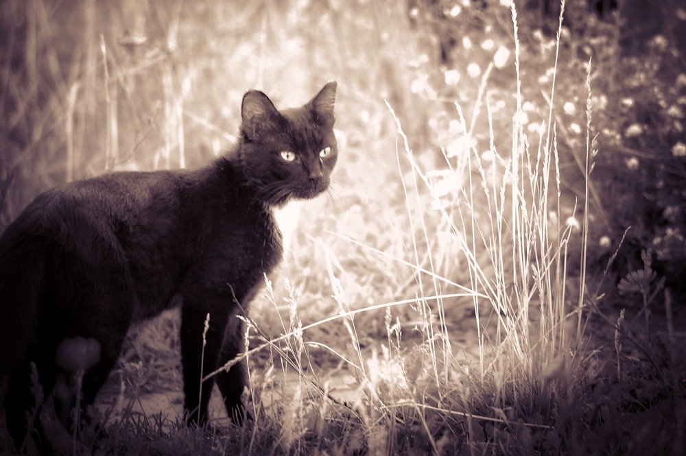 Photograph by Сергей Забиякин