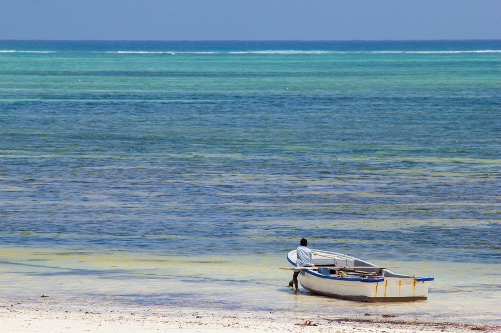 Photograph by Светлана Демина