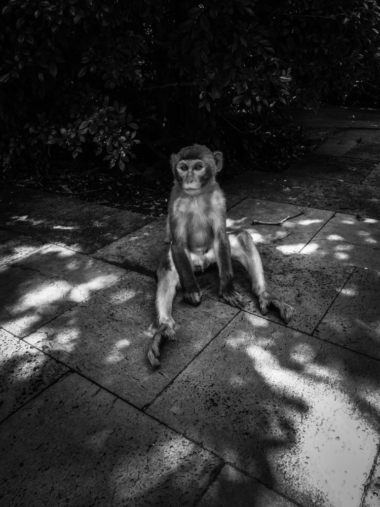 Photograph by Inna Kuznetsova