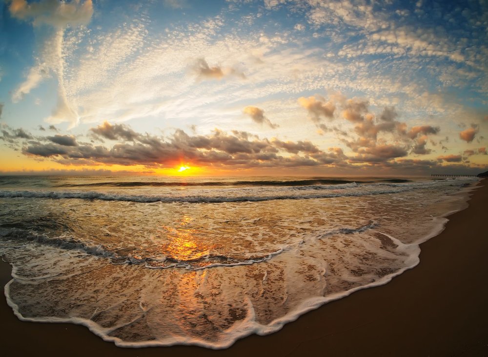 In the end of the summer