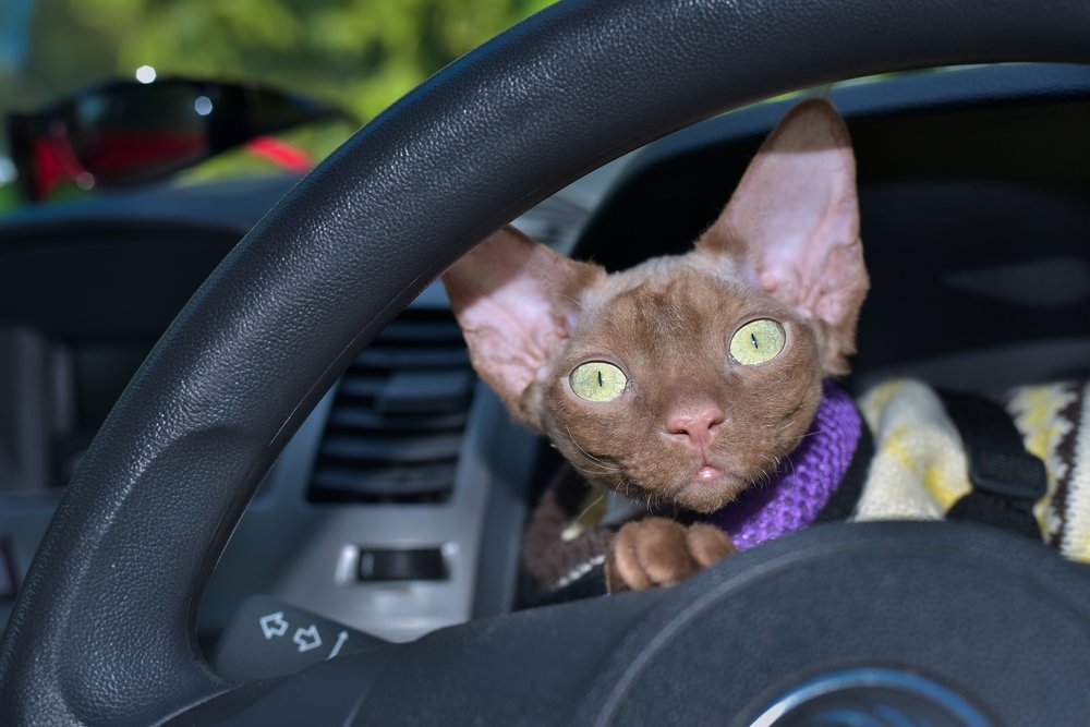 Photograph by VLAD KOTLIS