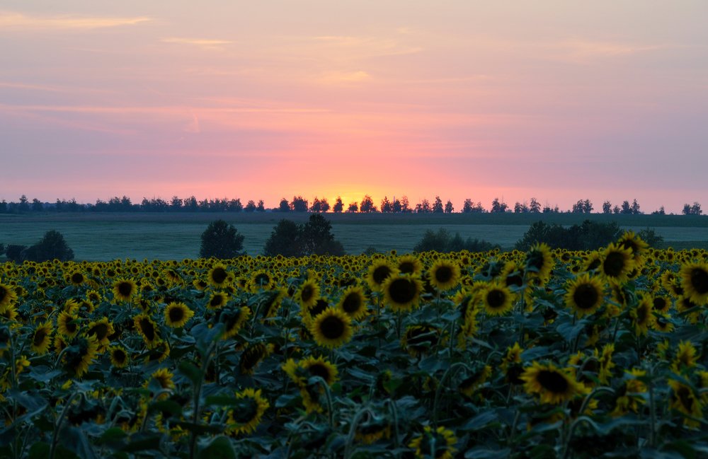 Светило завершило круг...